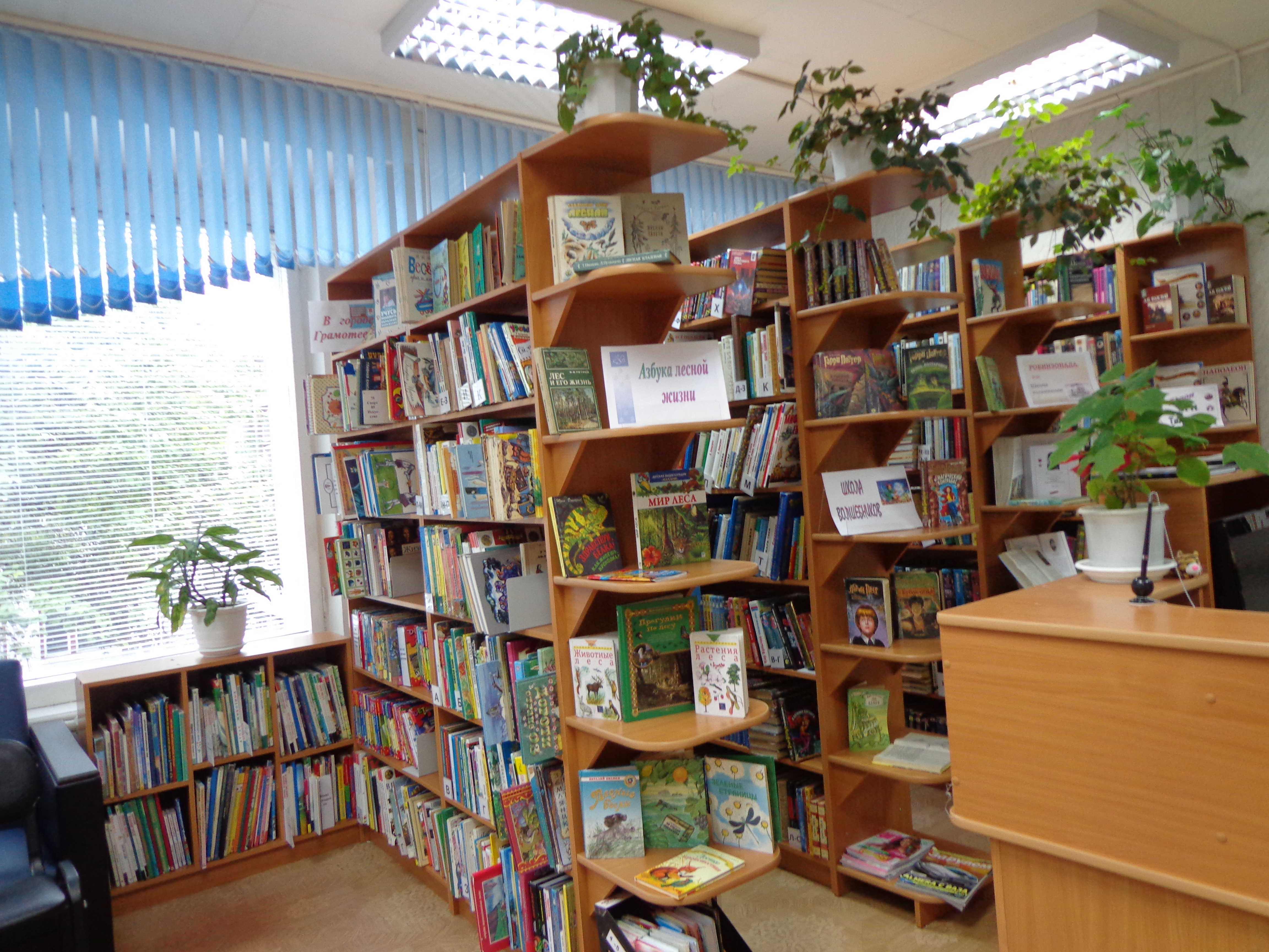 Изображения библиотеки.